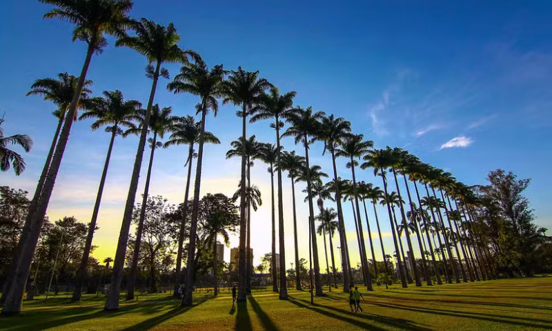 A Câmara Municipal de São José dos Campos aprovou, na tarde desta terça-feira (16), o projeto que autoriza a concessão do Parque da Cidade Roberto Burle Marx à iniciativa privada pelo período de até 35 anos