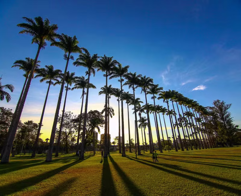 A Câmara Municipal de São José dos Campos aprovou, na tarde desta terça-feira (16), o projeto que autoriza a concessão do Parque da Cidade Roberto Burle Marx à iniciativa privada pelo período de até 35 anos