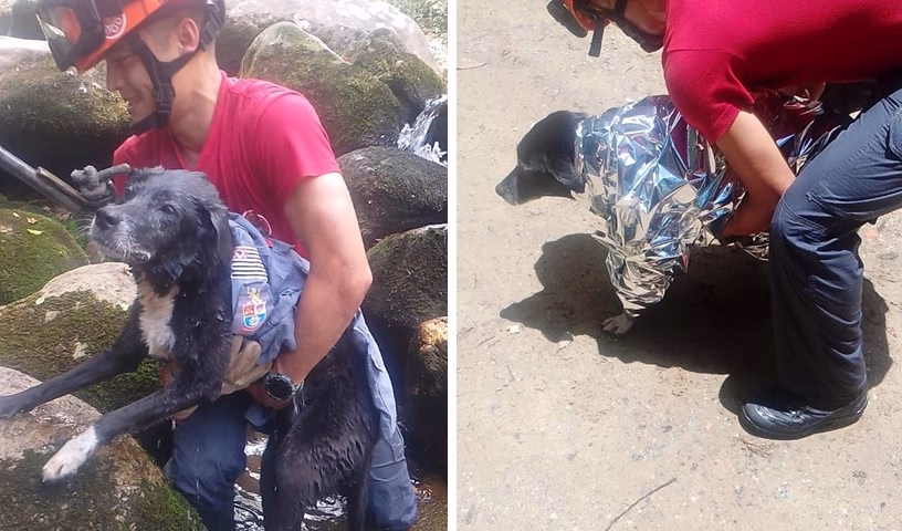 Cachorra idosa é resgatada após 3h presa em cachoeira em Barra do Una