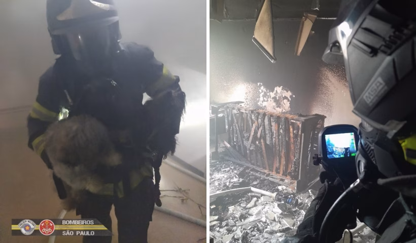 Incêndio atinge apartamento e dois cães são salvos no centro de SJC