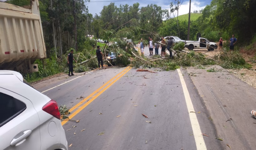 Militar morre após árvore cair sobre carro na Rodovia Oswaldo Cruz