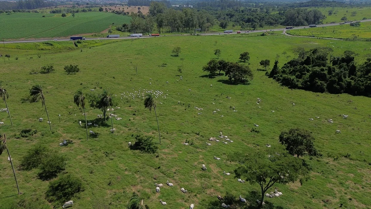 MP investiga venda de fazenda de pesquisas no Vale do Paraíba
