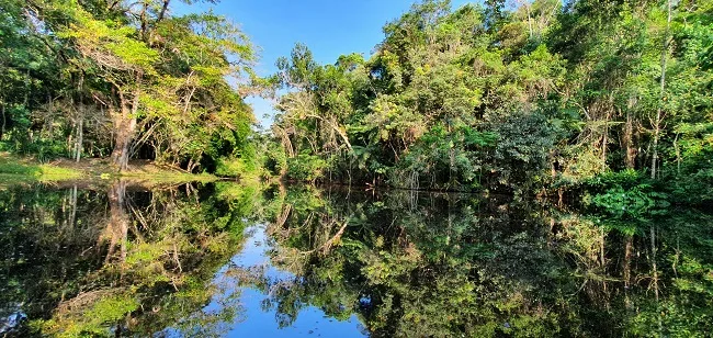 São José publica edital para concessão do Horto Florestal