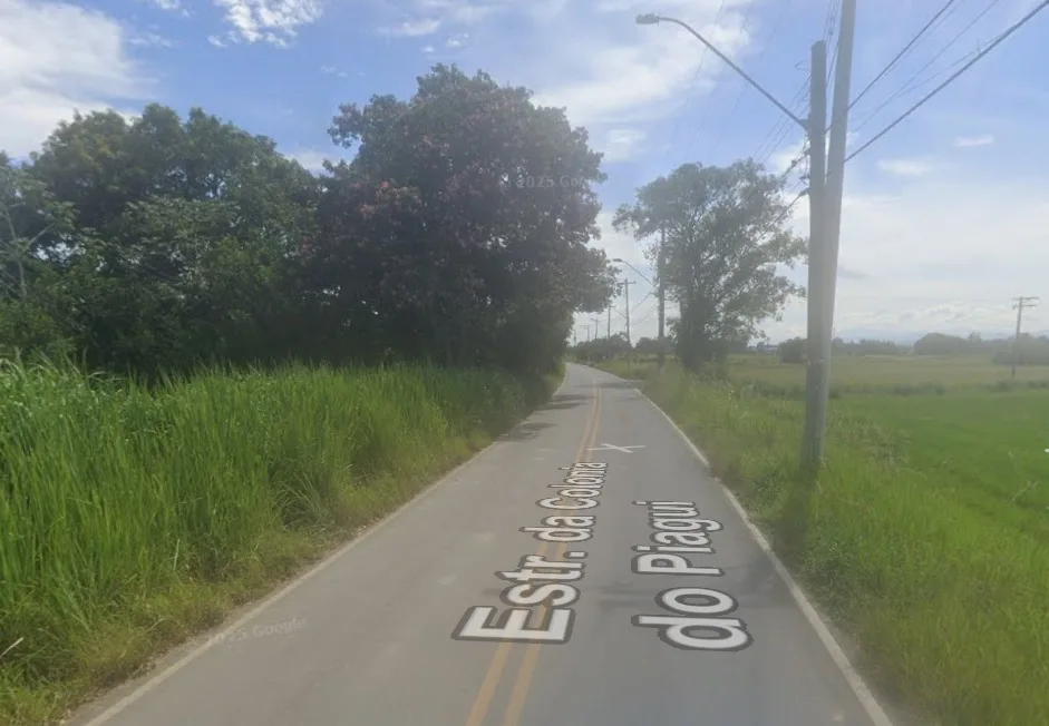 Trabalhador morre esmagado por árvore em Guaratinguetá