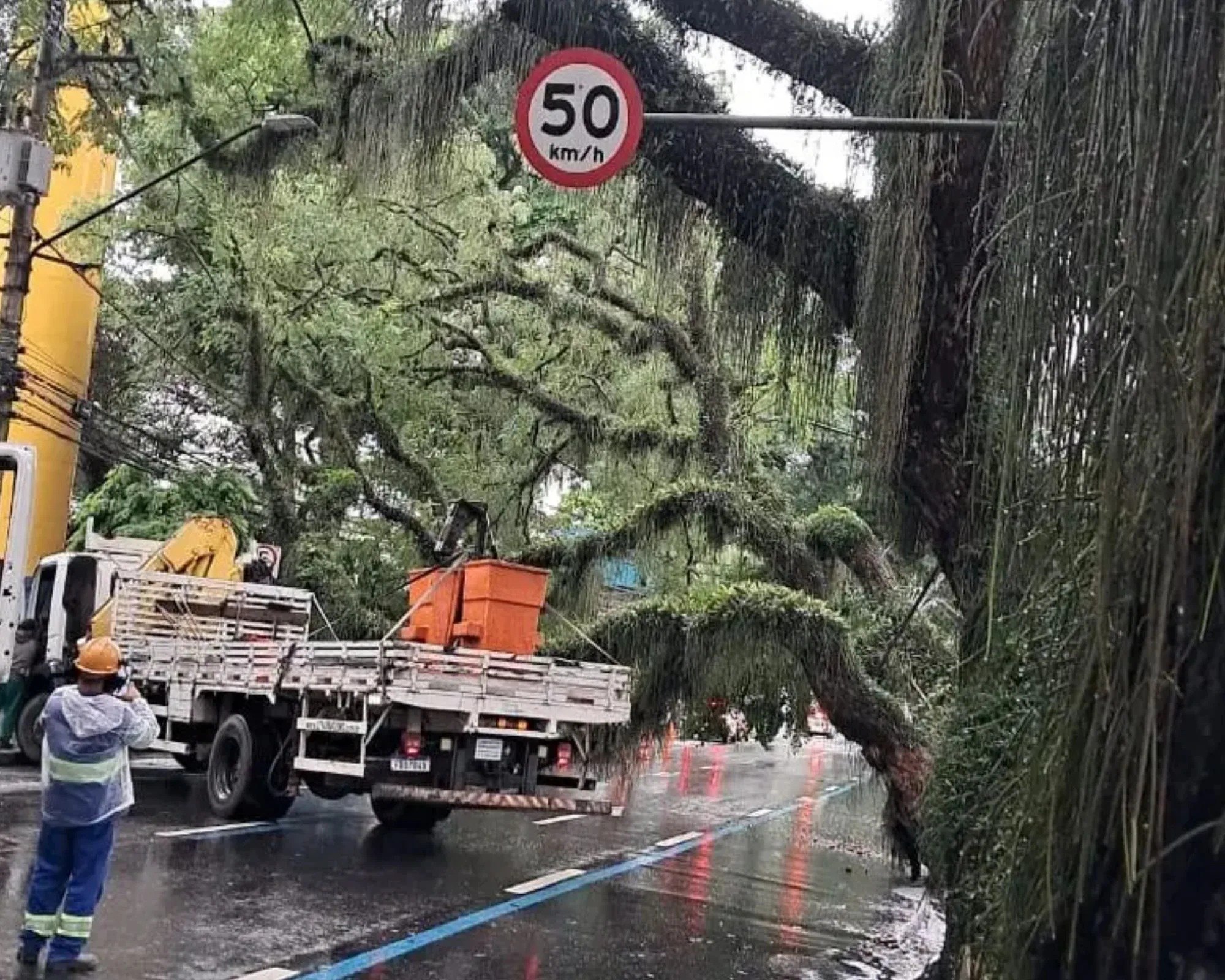 Queda de árvores interdita vias e afeta trânsito em São José dos Campos
