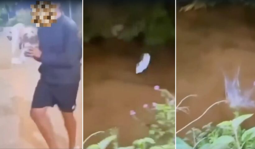 Adolescente é investigado por arremessar gato em rio no Vale