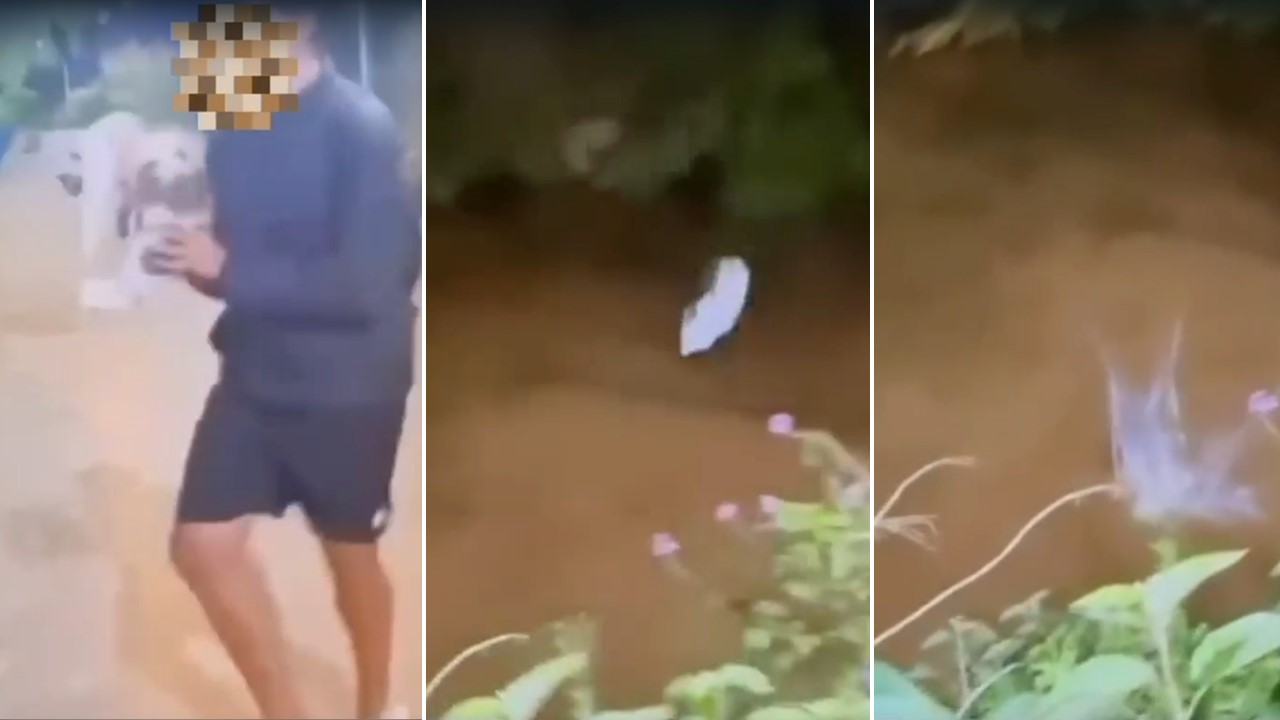 Adolescente é investigado por arremessar gato em rio no Vale