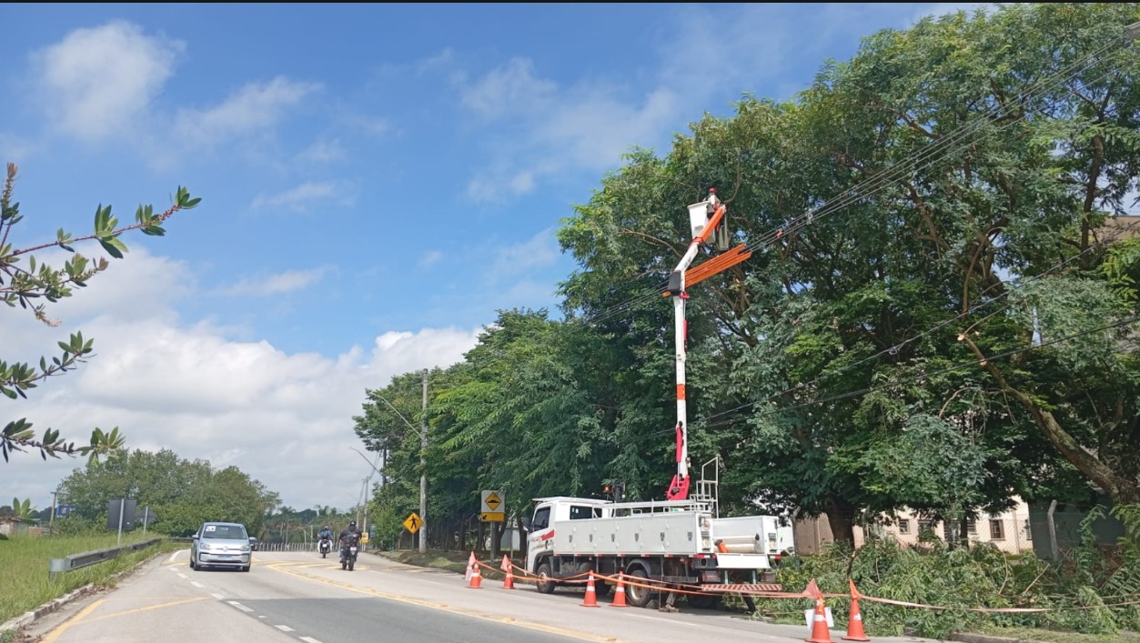 mutirão de podas de árvores e modernização da rede elétrica em bairros de Caçapava