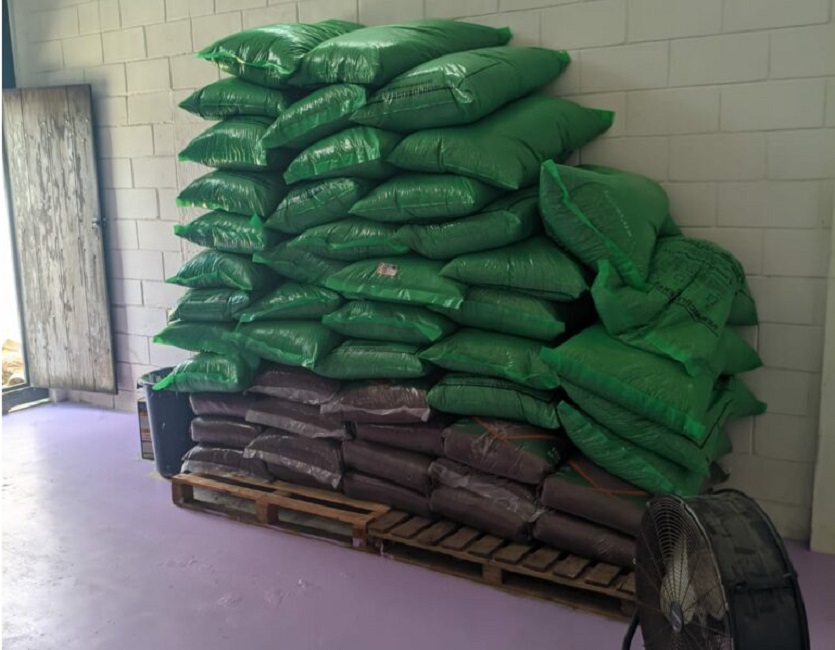 Polícia apreende sacos com cogumelos alucinógenos em galpão em Ubatuba