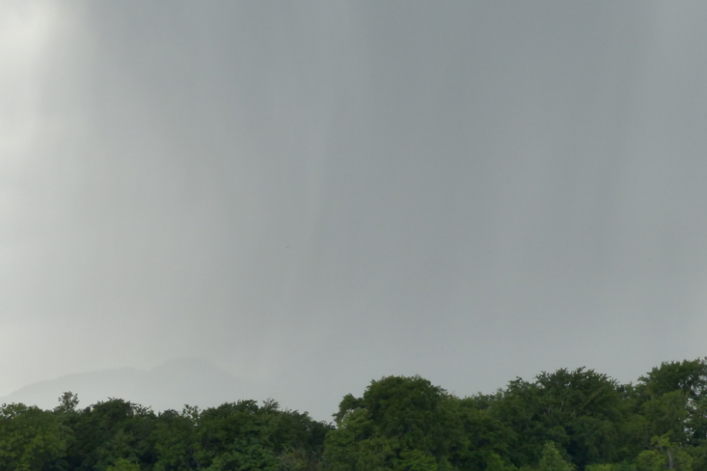 Chuva forte entre árvores