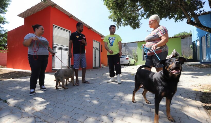 Jacareí abre cadastro para mapear protetores independentes e ONGs da causa animal