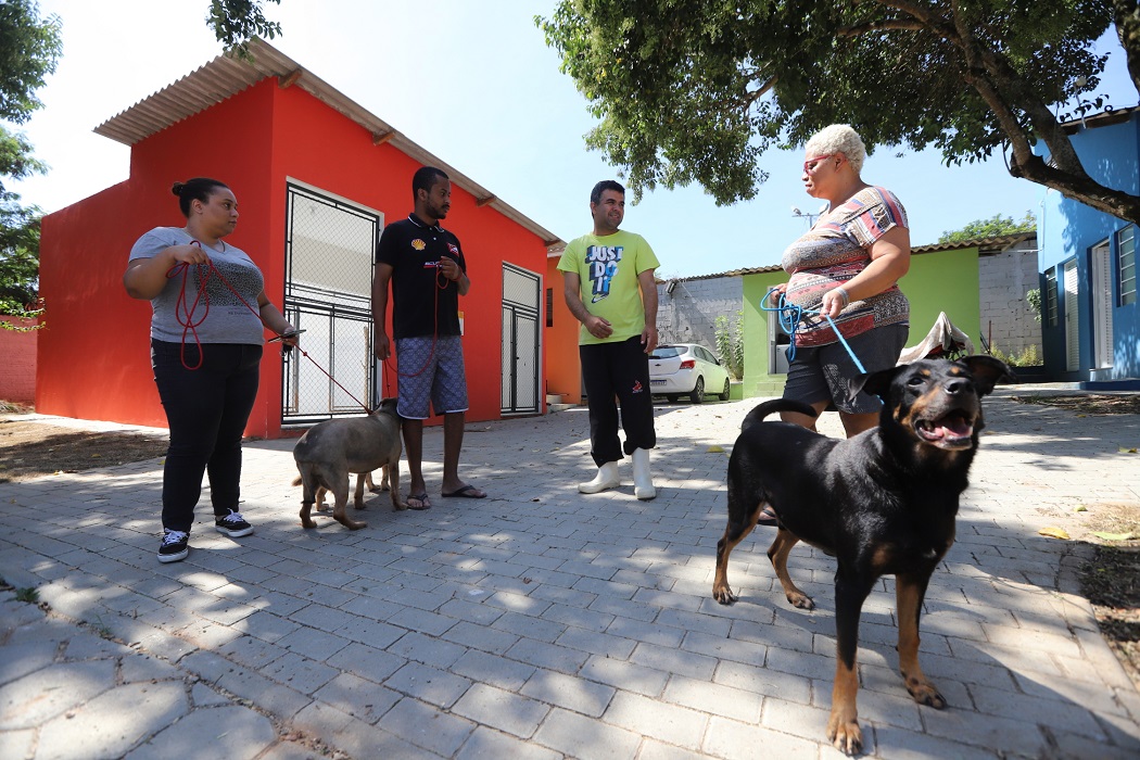 Jacareí abre cadastro para mapear protetores independentes e ONGs da causa animal