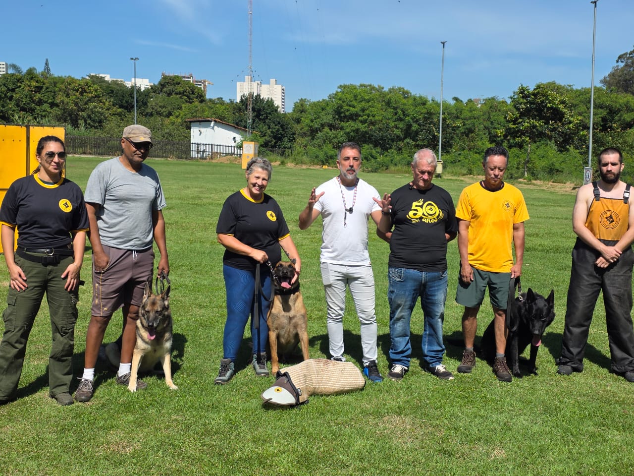 Treinamento gratuito para cães de grande porte em São José dos Campos