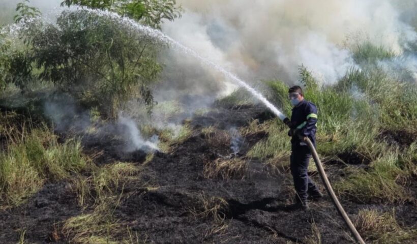 Incêndio em vegetação em Quiririm mobiliza Defesa Civil em Taubaté