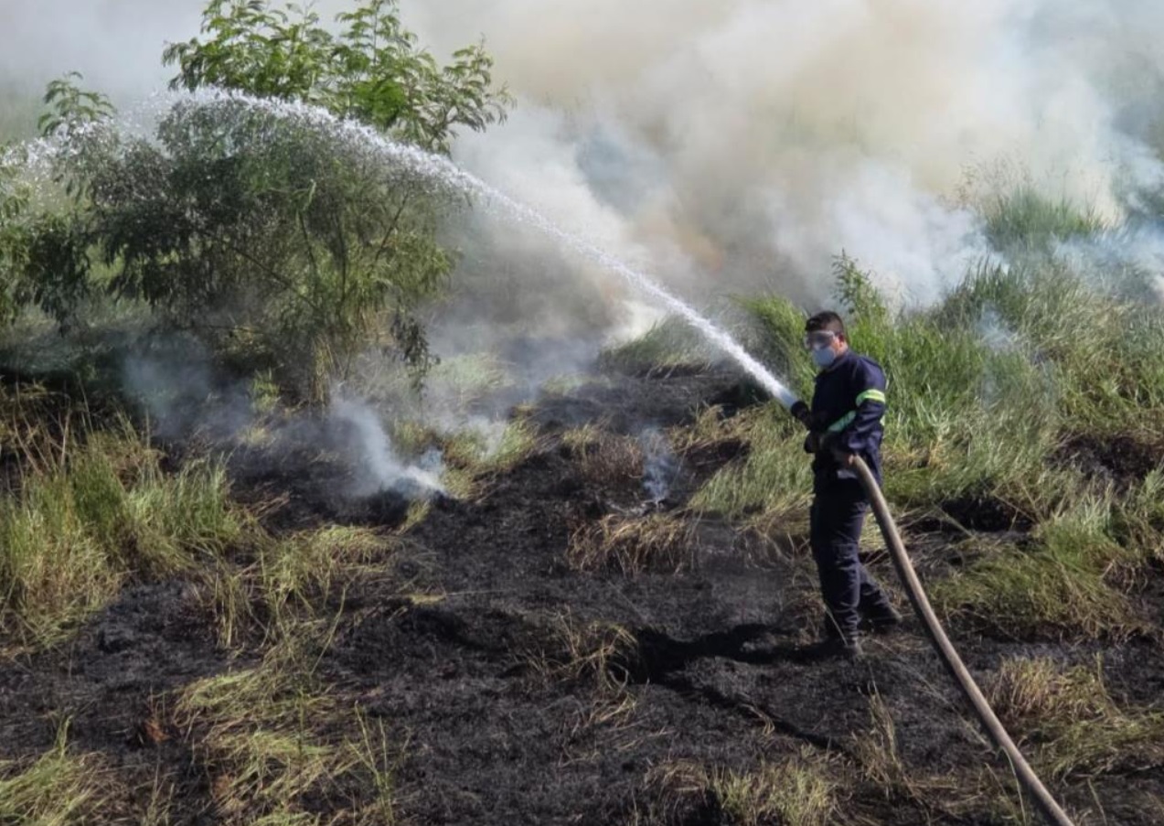 Incêndio em vegetação em Quiririm mobiliza Defesa Civil em Taubaté
