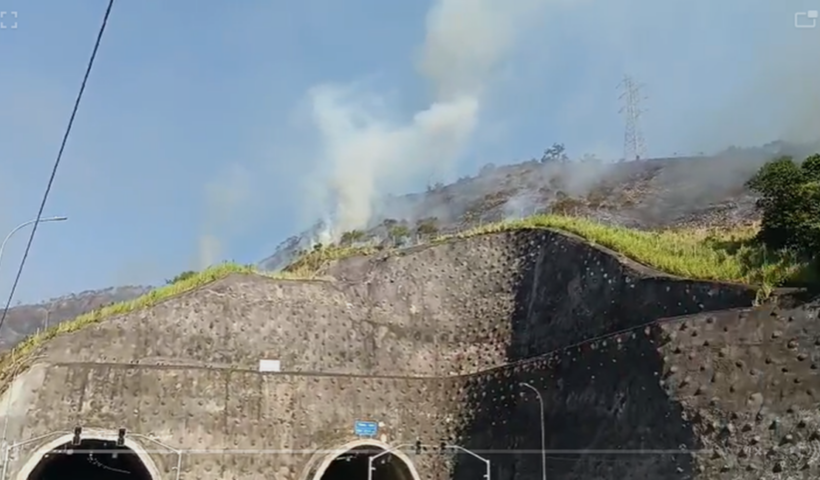 Incêndio atinge área na Tamoios, em São Sebastião