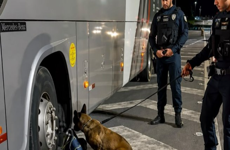 Cadela ajuda a apreender drogas em ônibus na Rodovia dos Tamoios