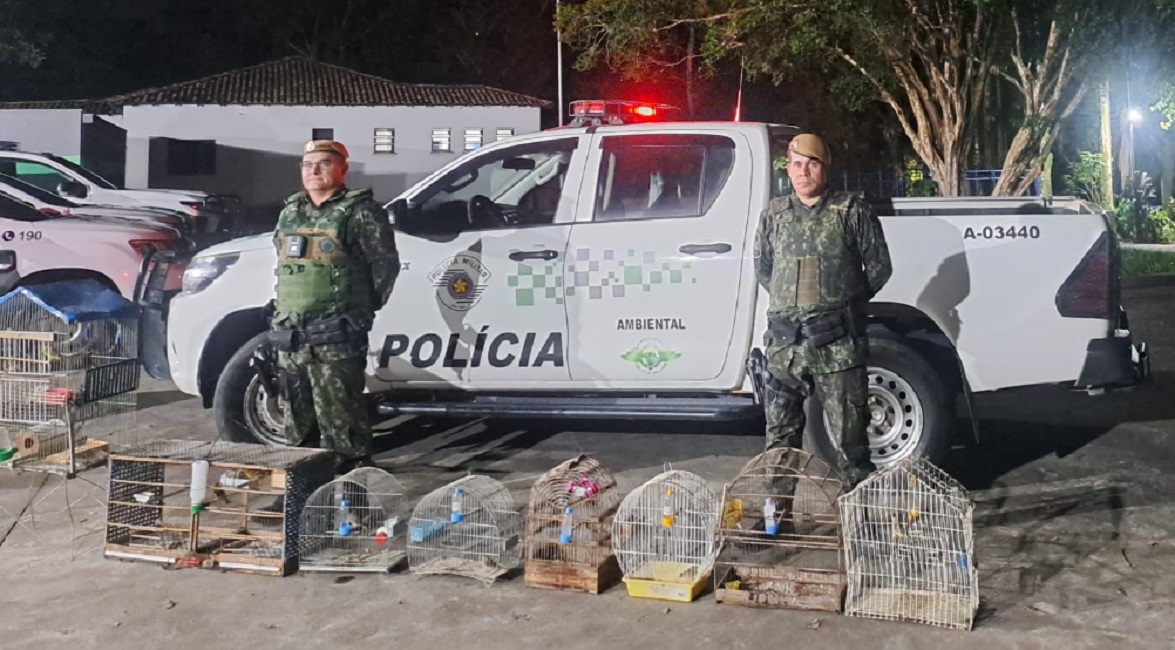 agentes da polícia militar ambiental restagando aves silvestres presas em cativeiro em sjc