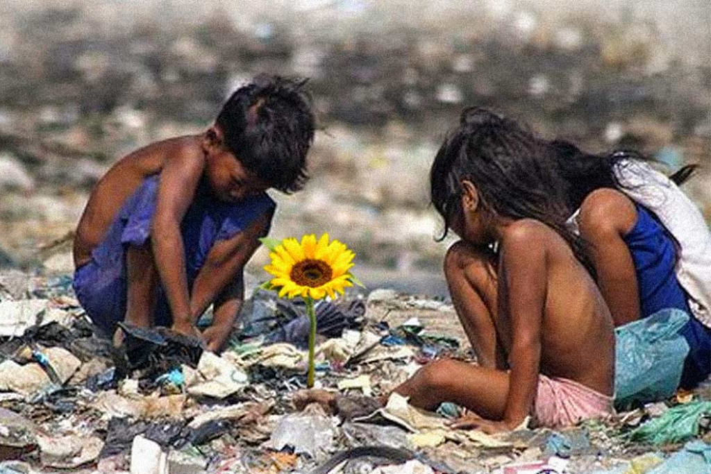 Taubaté recebe a mostra gratuita “Cinema Que Une” no MISTAU, com exibição dos filmes Ilha das Flores e Saneamento Básico.