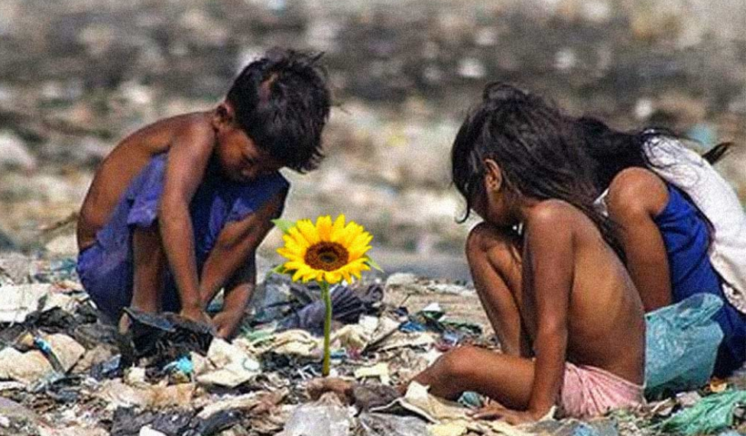 Taubaté recebe a mostra gratuita “Cinema Que Une” no MISTAU, com exibição dos filmes Ilha das Flores e Saneamento Básico.