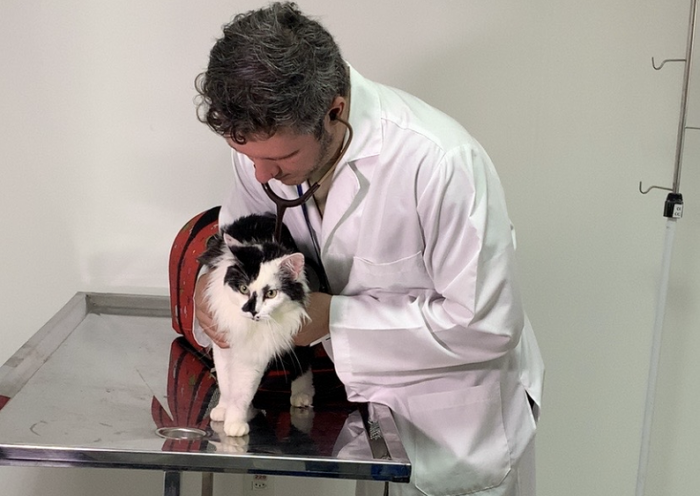 São José dos Campos inaugura Hospital Veterinário com atendimento 24h