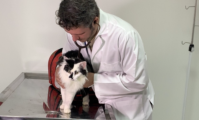 São José dos Campos inaugura Hospital Veterinário com atendimento 24h
