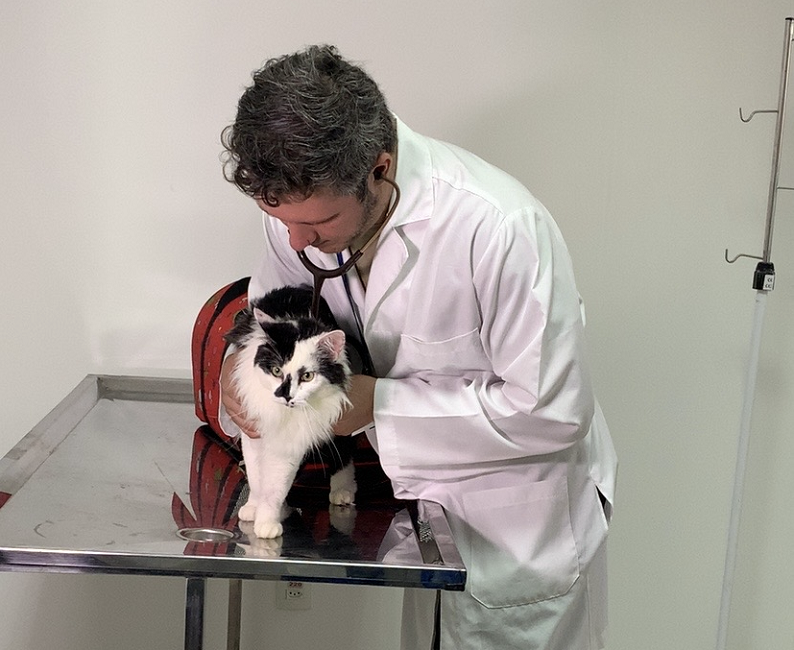 São José dos Campos inaugura Hospital Veterinário com atendimento 24h