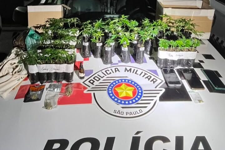Polícia apreende 55 mudas de maconha em São José dos Campos