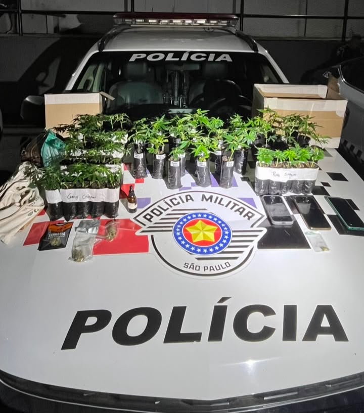 Polícia apreende 55 mudas de maconha em São José dos Campos