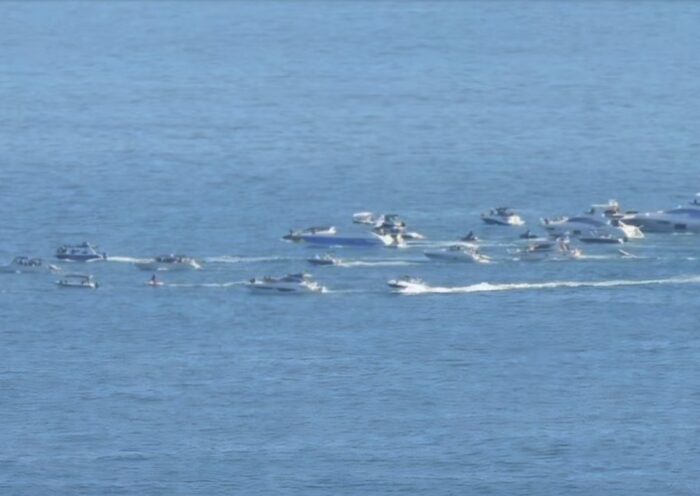 Pesquisadores reforçam alerta para turismo predatório de baleias no Litoral Norte de SP