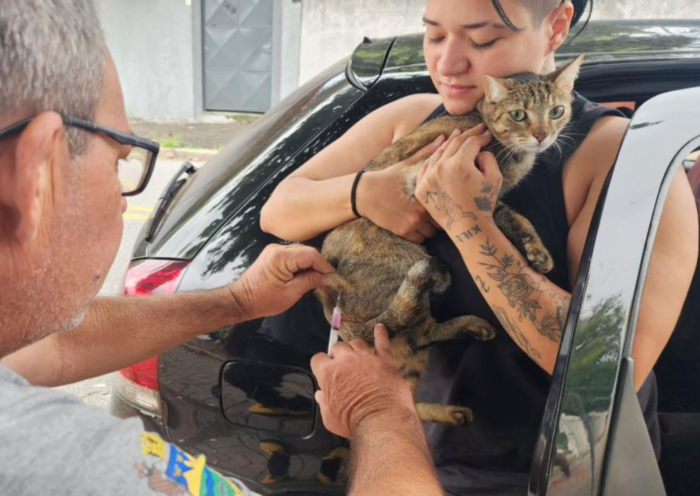 Taubaté realiza vacinação antirrábica para cães e gatos no Parque São Luiz nesta quarta-feira (17). Atendimento ocorre por ordem de chegada.