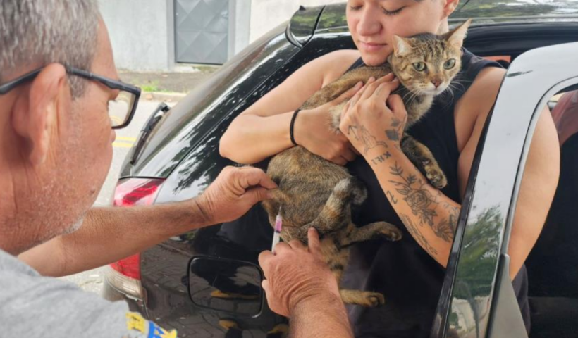 Taubaté realiza vacinação antirrábica para cães e gatos no Parque São Luiz nesta quarta-feira (17). Atendimento ocorre por ordem de chegada.