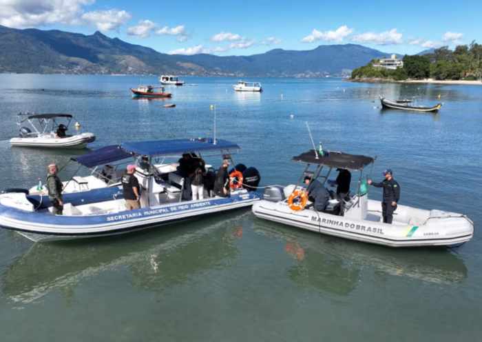 Prefeitura de Ilhabela cria canal de denúncias via WhatsApp para irregularidades na observação de baleias no Litoral Norte.