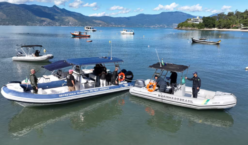Prefeitura de Ilhabela cria canal de denúncias via WhatsApp para irregularidades na observação de baleias no Litoral Norte.