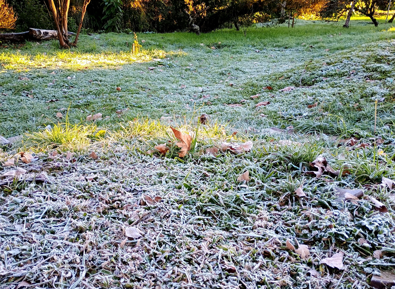 Frio em Campos do Jordão