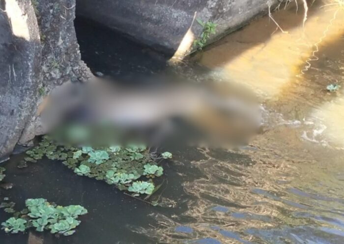 Corpo de homem encontrado em córrego de São José dos Campos