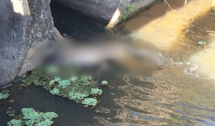 Corpo de homem encontrado em córrego de São José dos Campos