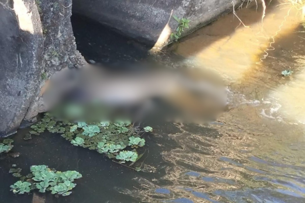 Corpo de homem encontrado em córrego de São José dos Campos