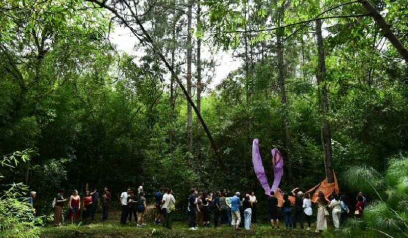 Férias: Vale reúne exposições gratuitas em São José dos Campos