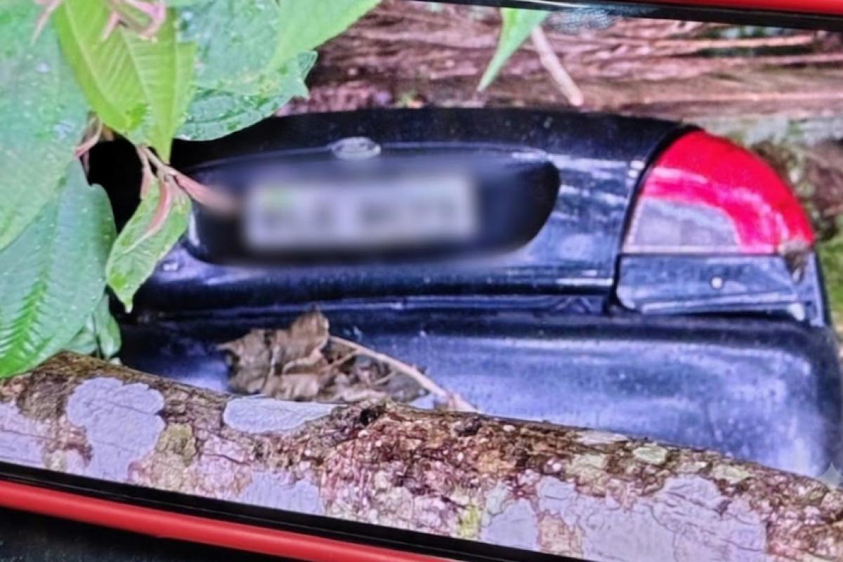 carro estava em uma ribanceira às margens da Estrada Vereador Pedro David, em São Francisco Xavier