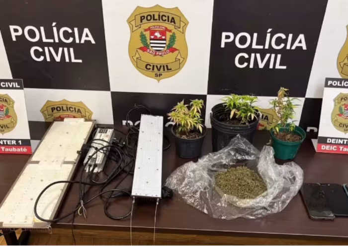 Polícia Civil prendeu três pessoas em Taubaté durante operação da Deic contra o tráfico de drogas e desmantelou estufa de maconha em chácara.