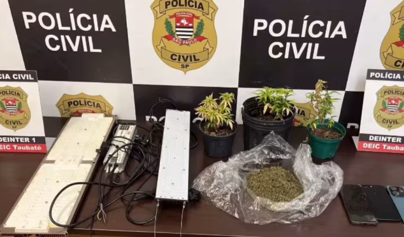 Polícia Civil prendeu três pessoas em Taubaté durante operação da Deic contra o tráfico de drogas e desmantelou estufa de maconha em chácara.