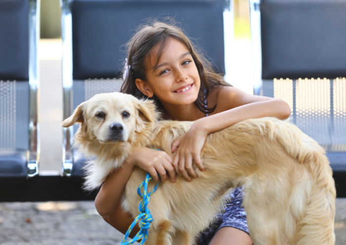 Feira de adoção itinerante em São José dos Campos reúne cães e gatos do CCZ no Parque Ribeirão Vermelho e oferece vacinação e microchipagem