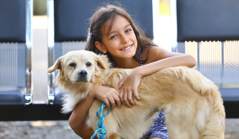 Feira de adoção itinerante em São José dos Campos reúne cães e gatos do CCZ no Parque Ribeirão Vermelho e oferece vacinação e microchipagem