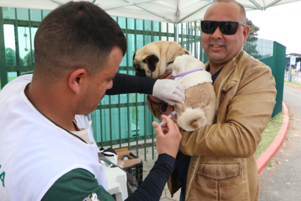 Jacareí abre agendamento para vacinação antirrábica de cães e gatos em julho. Tutores podem escolher data e local pelo aplicativo Fast Cidadão.
