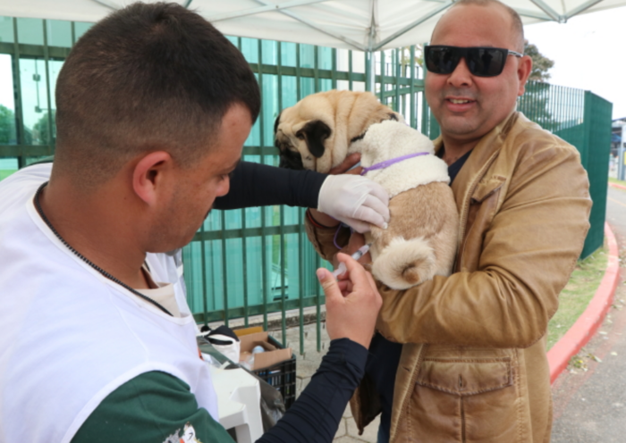 Jacareí abre agendamento para vacinação antirrábica de cães e gatos em julho. Tutores podem escolher data e local pelo aplicativo Fast Cidadão.