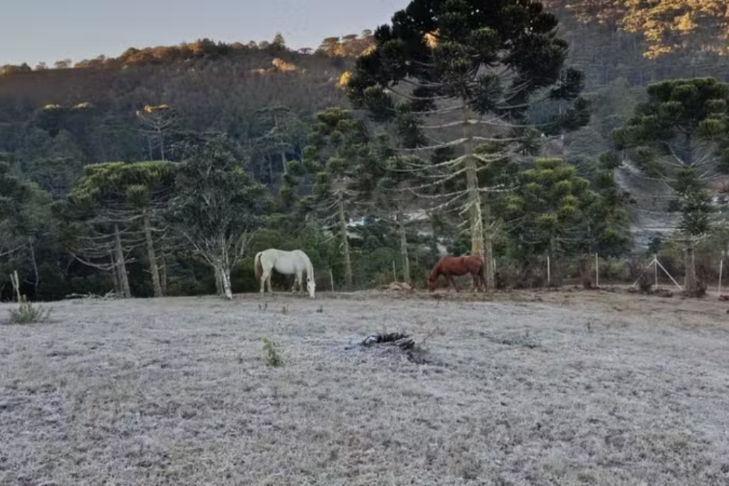 Campos do Jordão amanheceu com geada nesta quinta-feira (16) após registrar temperatura mínima de 2,1°C