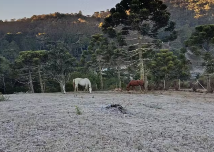 Campos do Jordão amanheceu com geada nesta quinta-feira (16) após registrar temperatura mínima de 2,1°C