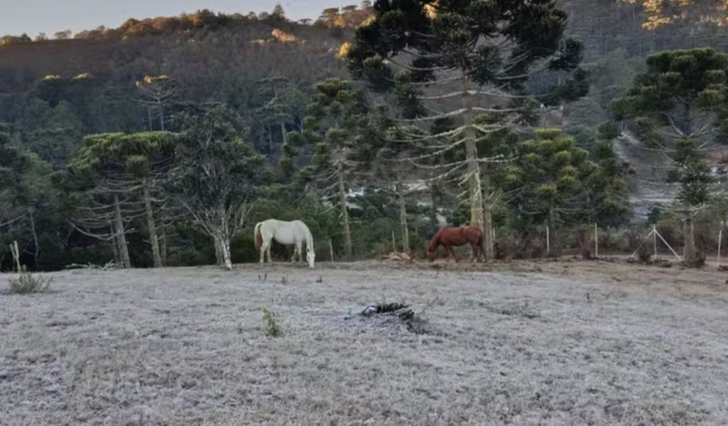 Campos do Jordão amanheceu com geada nesta quinta-feira (16) após registrar temperatura mínima de 2,1°C