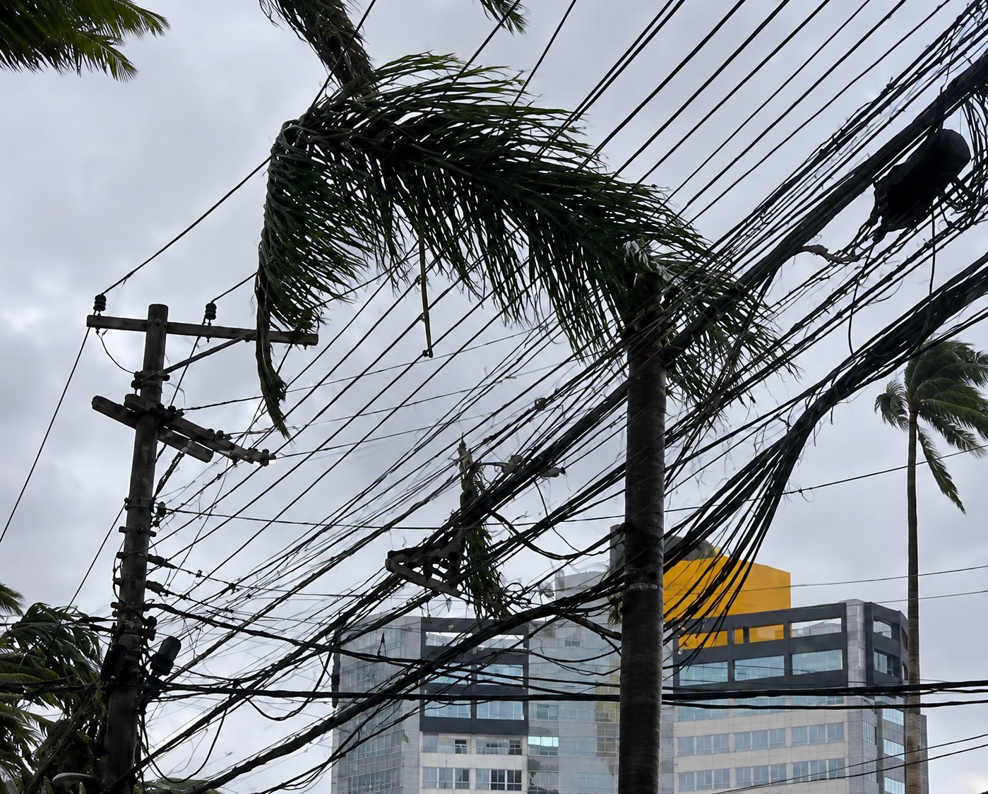 São José dos Campos registra 2ª maior rajada de vento de SP